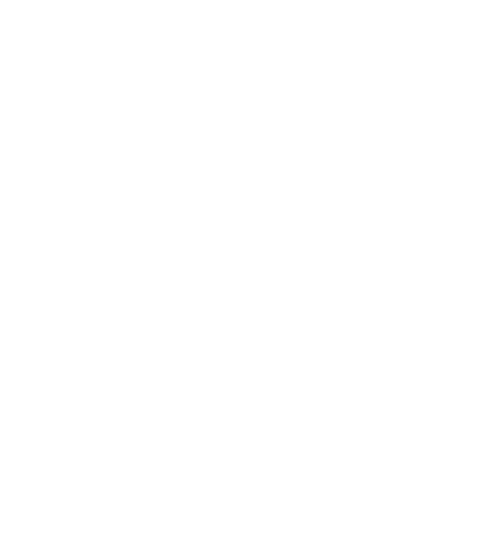 Lemon Media Network